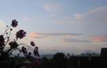 Foto: rosa Lenticularis-Wolken