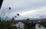 Foto: Balkonblumen vor dem Ammergebirge. Die Wolken lockern auf.