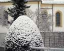Fotos: Impressionen mit frischem Schnee
