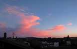 Foto: rote Lentis im Norden